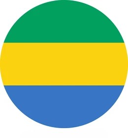 round-gabonese-national-flag-gabon-260nw-2307401477